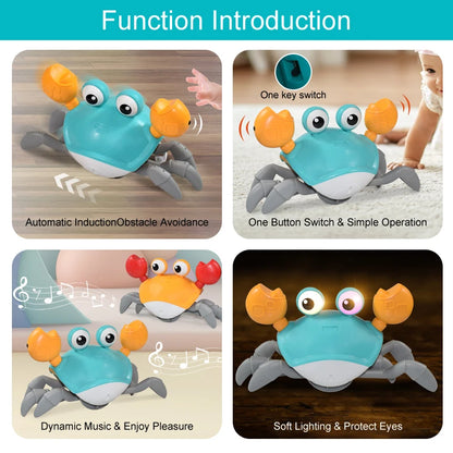 MemoryDIY Octopus Crawling Musical Toy